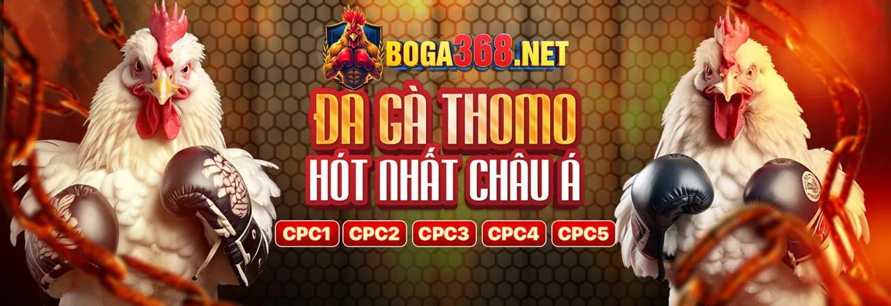 Sảnh Đá Gà Trực Tuyến bet168 Thể Thao